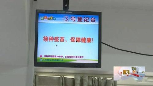 国产在线h,探索国产h的无限魅力